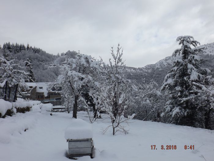 Cette fois c'est pas de la poudreuse mais 25 à 30cm de neige lourde.
L'hiver continue! Les thuriféraires sectaires du réchauffement climatique ont le nez dans leur caca, car si l'automne a été très doux, l'hiver est en retard, et finalement, si on fait la moyenne automne/hiver, on a un chiffre normal! La nature se rééquilibre dès qu'elle le peut, bande de géoingénieurs sous-humains!
