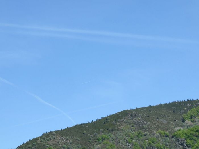 Regardez bien au centre de la photo -un tout petit peu en bas à gauche-, au centre du triangle formé par des trainées persistantes, en tout petit, une trainée d'avion normal se dissipant en quelques secondes. Cet avion apparaissait sur Flightradar, pas les autres.