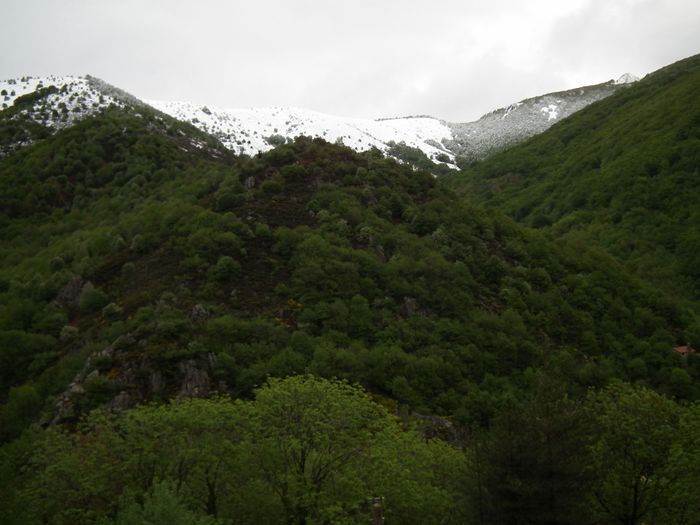La limite est remontée en fin de journée, mais là où ça n'a pas fondu, il y a une couche épaisse donc doublement exceptionnel pour la saison: 20/30 cm. POUR UN 13 MAI, C'EST LE RECORD DEPUIS 1900. 