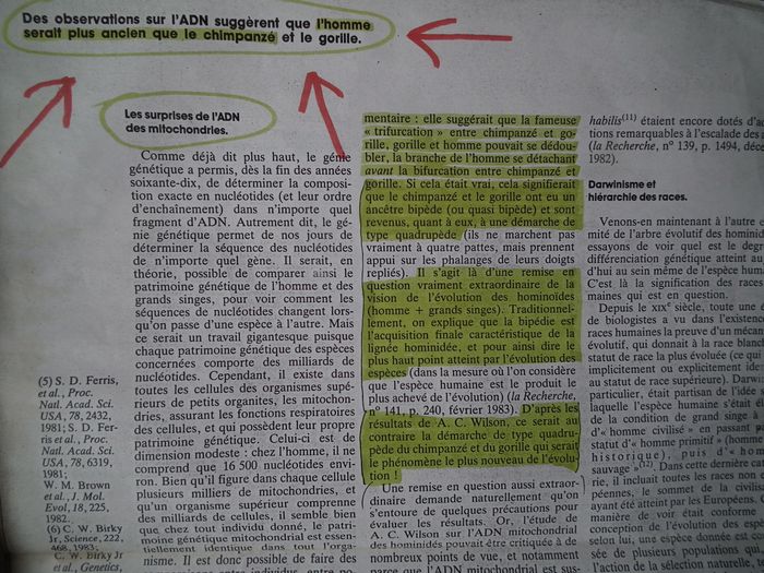 Ces recherches de 1981 confirmées par une autre équipe en 1983 ont été enterrées dès 1986 parce qu'elles démontraient que les grands singes étaient issus d'une ancienne espèce humaine qui avait basculé dans le règne animal. J'ai publié cette page dans mon 1er livre de 1991 pour démontrer à mon tour que ce phénomène avait toujours existé et qu'il allait encore se reproduire: ce sont les futurs 